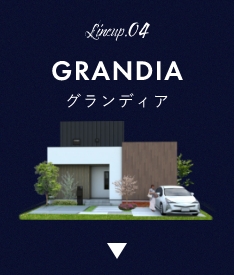 Lineup.Lineup.04 GRANDIA グランディア