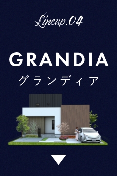 Lineup.Lineup.03 GRANDIA グランディア